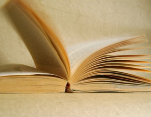 Lernen mit Kinderbüchern